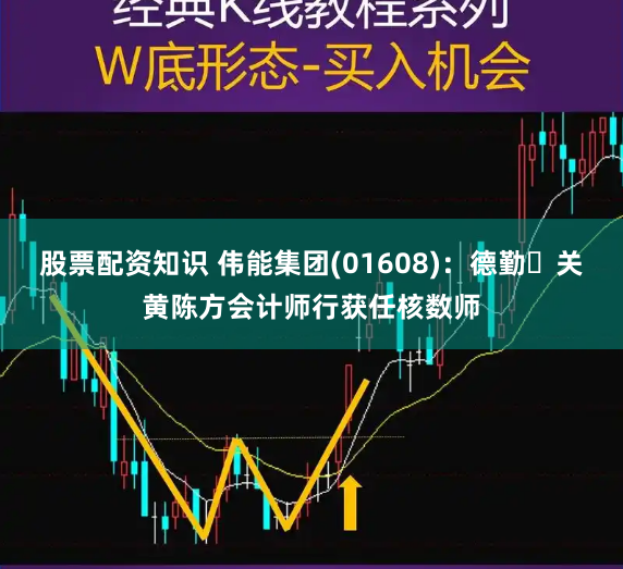 股票配资知识 伟能集团(01608)：德勤‧关黄陈方会计师行获任核数师