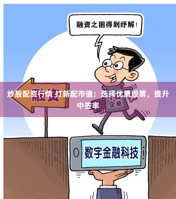 炒股配资行情 打新配市值：选择优质股票，提升中签率